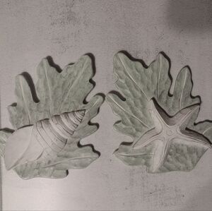 Hand-Carved Starfish and Turban Shell on Reef